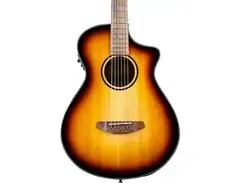 Breedlove Discovery S Concertina CE main image