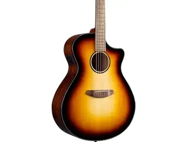 Breedlove Discovery S Concerto CE