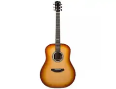 Breedlove Legacy Dreadnought Ricochet E main image