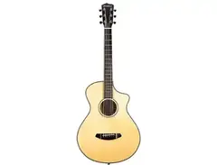Breedlove	Oregon Concertina CE main image
