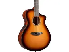 Breedlove Organiz Solo Pro Concert CE