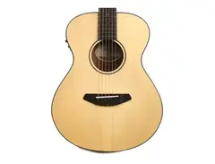 Breedlove Passport Traveler E Acoustic-Electric Guitar main image