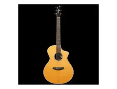 Breedlove Premier Concert LTD Acoustic/Electric Guitar main image