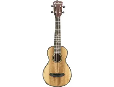 Breedlove	Pursuit Concert Ukulele