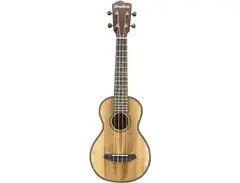 Breedlove	Pursuit Concert Ukulele main image