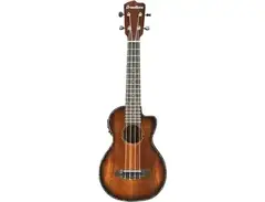 Breedlove Pursuit Concert Ukulele CE main image