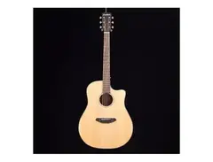 Breedlove Pursuit Dreadnought Acoustic Guitar main image