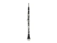 Buffet Crampon BC113120 R13 Series Bb Clarinet main image