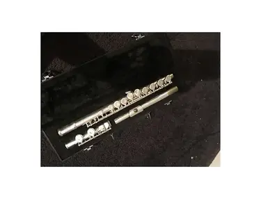 Bundy BFL-300 Closed-Hole Flute with Offset G, C Foot