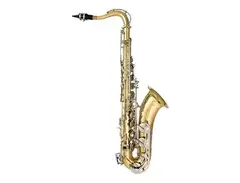 Bundy BTS-300 Tenor Saxophone Outfit main image
