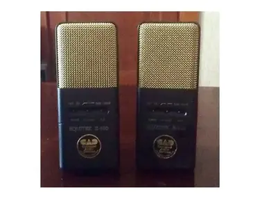 CAD Equitek E-100 Large Diaphragm Supercardioid Condenser Microphone Stereo Pair