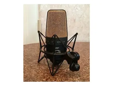 CAD Equitek E300-2 Large Diaphragm Multipattern Condenser Microphone