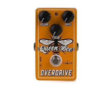 Caline DCP-07 Brigade Dual Overdrive - What To Know & Where To Buy