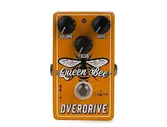 Caline CP-503 Queen Bee Overdrive main image