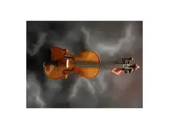 Carlo Robelli VYOUNGMII Young Master 4/4 Full-Size Violin Outfit main image