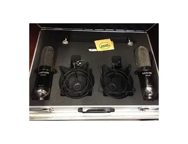 Cascade Microphone Company Vin-Jet Long Ribbon Mics w/ Lundahl Transformers (Stereo Pair)