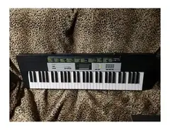Casio LK-135 61-Key Key-Lighting Keyboard main image