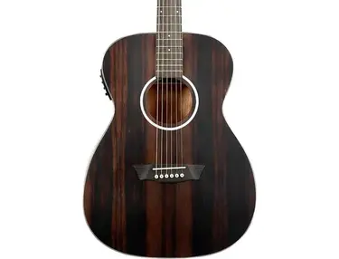 Washburn Deep Forest Ebony FE Acoustic-Electric Guitar
