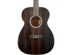 Washburn Deep Forest Ebony FE Acoustic-Electric Guitar