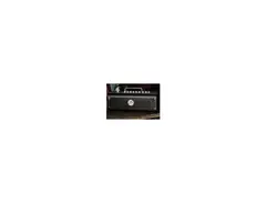 Yamaha THR30II Wireless TAK MATSUMOTO