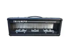Triumph Electronics Silicon 100W Lead and Bass Amplifier