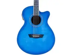 Washburn Festival EA15 Acoustic-electric Guitar