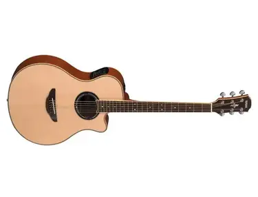 Yamaha APX700N