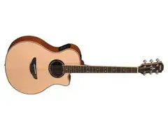 Yamaha APX700N