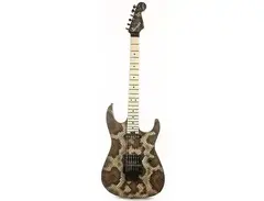 Charvel Warren DeMartini USA Signature Snake main image