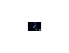 Fender Precision Bass Excalibur 50 main image