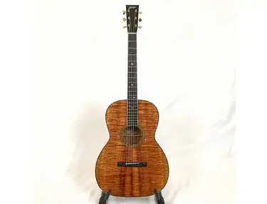 Collings 0041