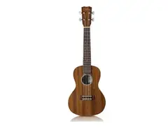 Cordoba 20CM Concert Ukulele main image