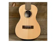 Cordoba 22C Concert Ukulele main image
