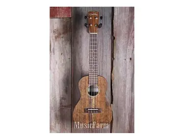 Cordoba 23C Concert Ukulele Solid