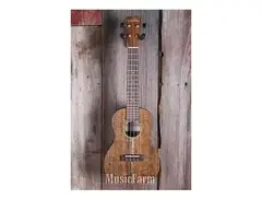 Cordoba 23C Concert Ukulele Solid main image