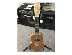 Cordoba 24T Tenor Ukulele main image