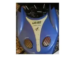Danelectro Wasabi Chorus main image