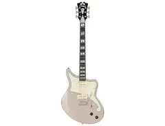 D'Angelico Deluxe Bedford SS with Tremolo main image