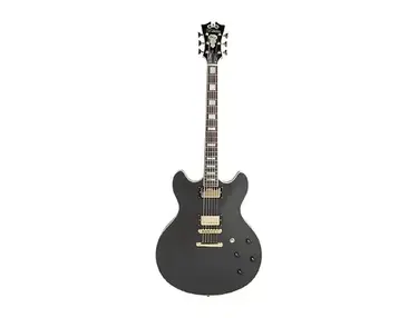 D'Angelico Deluxe DC Semi-Hollow Double Cutaway with Stop-Bar Tailpiece, No F-Holes