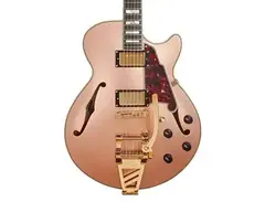 D'Angelico Deluxe SS Semi Hollow Single Cutaway with Shield Tremolo main image