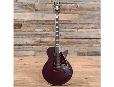 D'Angelico Deluxe SS Semi-Hollow Single Cutaway with Stop-Bar Tailpiece, No F-Holes