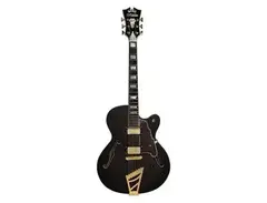 D'Angelico Excel EX-DH Hollow Body main image