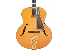D'Angelico Excel Style B Throwback main image