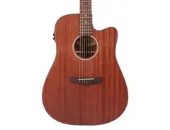 D'Angelico Premier Bowery LS Dreadnought main image