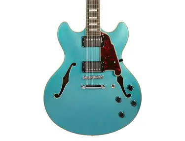 D'Angelico Premier DC 12-String