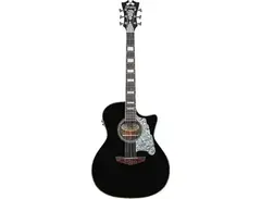D'Angelico Premier Gramercy CS main image