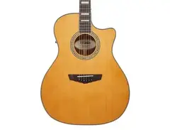 D'Angelico Premier Gramercy Grand Auditorium main image