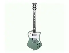 D'Angelico Premier Ludlow Offset with Stoptail main image