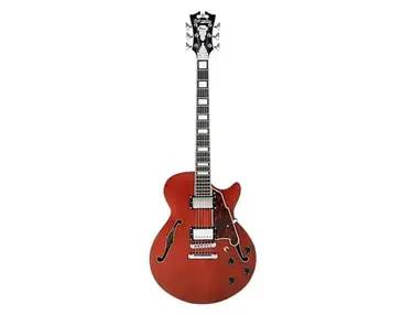D'Angelico Premier SS Boardwalk