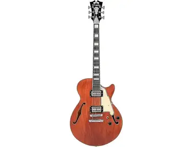 D'Angelico Premier SS XT